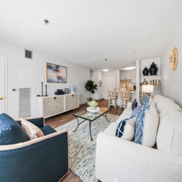 Open space living area with natural lighting