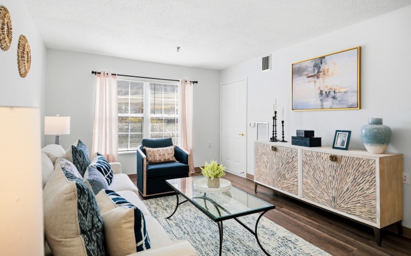 sun filled living room